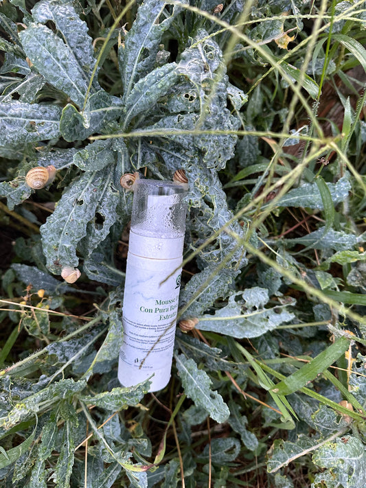 Mousse Detergente con Bava di Lumaca estratta a mano, 100% Ingredienti di origine naturale