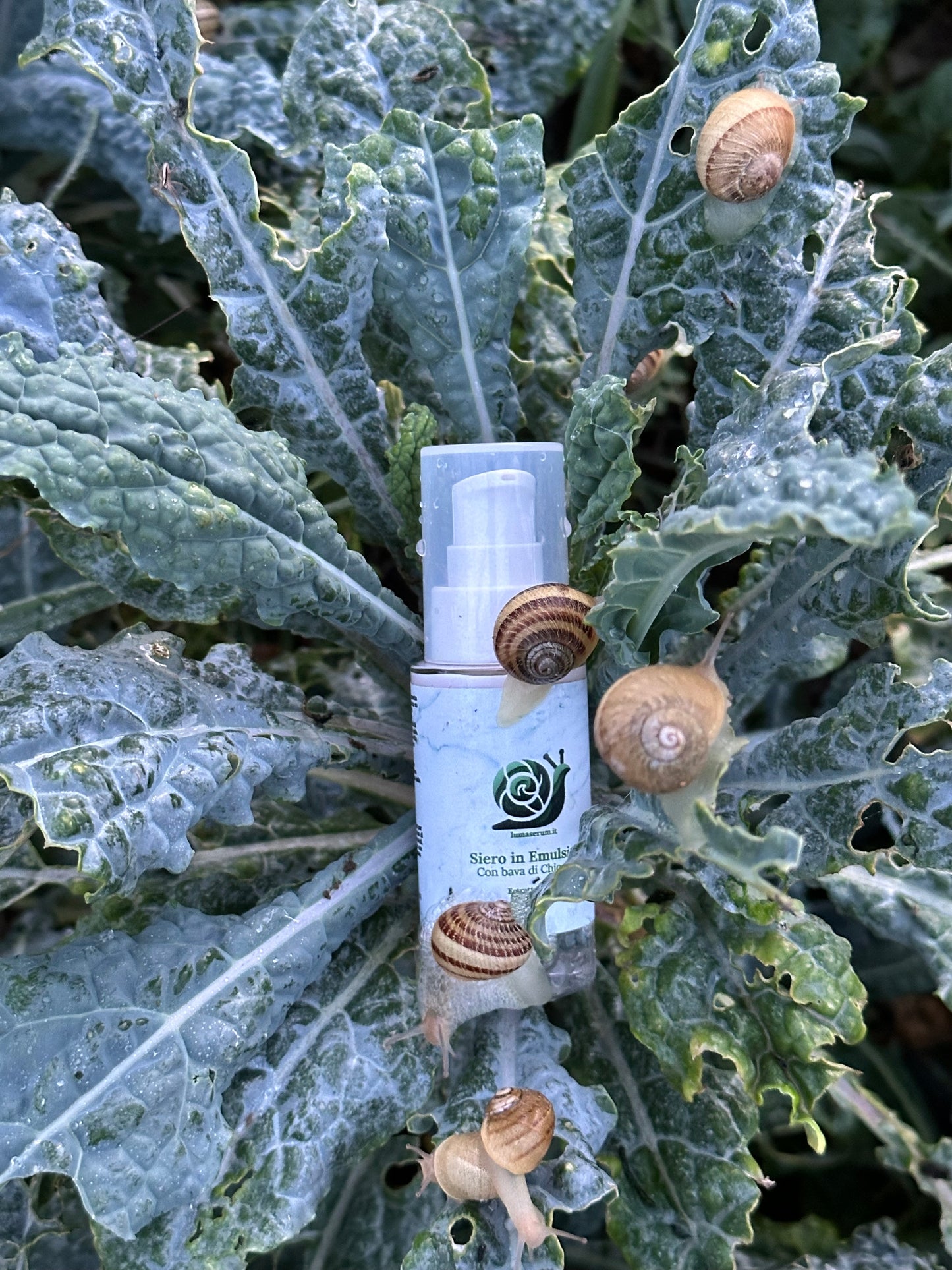 Siero Viso in Emulsione con Bava di Lumaca estratta a mano, Acido Ialuronico, Camomilla e Vitamina E